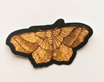 Oak Besma Moth Sticker