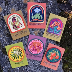 K&ouml;nnte beinhalten: Zehn gestickte B&uuml;gelbilder mit verschiedenen Fr&uuml;hlingswildblumen und Wildfr&uuml;chten. Die Patches sind rund und haben eine farbenfrohe, Vintage-&Auml;sthetik. Der Text auf den Patches lautet: "Here Today Gone Tomorrow", "Yellow Lady's Slipper", "Bloodroot", "Trout Lily", "Pawpaw", "Blackberries", "Persimmon".