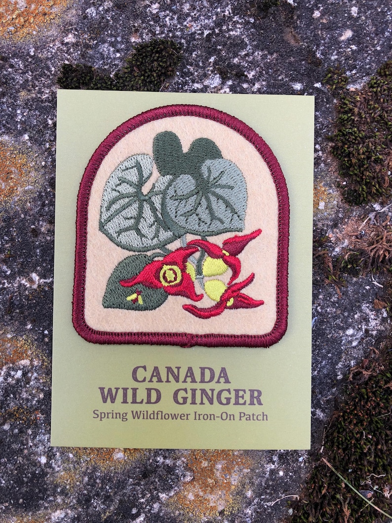 May include: A beige iron-on patch with an embroidered image of a Canada Wild Ginger plant. The patch has a burgundy border and the text "CANADA WILD GINGER" and "Spring Wildflower Iron-On Patch" in black.