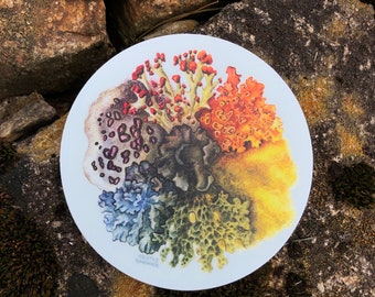 Lichen Spectrum Sticker