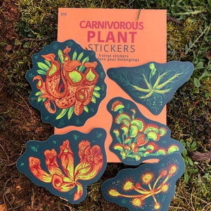 May include: Five colorful vinyl stickers featuring illustrations of carnivorous plants. The stickers are on a peach-colored background with the text "CARNIVOROUS PLANT STICKERS 5 vinyl stickers adorn your belongings" printed on the background.