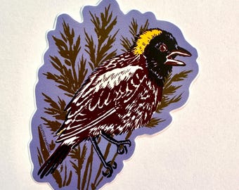 Bobolink Sticker