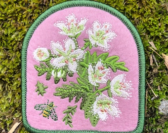 Fringed Phacelia Patch