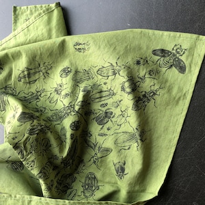 Bandana Beetles - Vert herbe