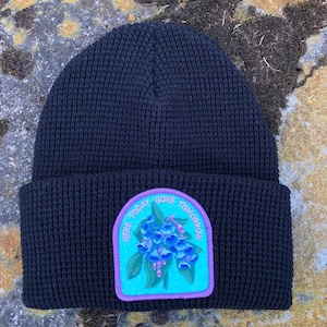 May include: Black knitted beanie with an embroidered patch featuring blue and green flowers and the text "Here Today Gone Tomorrow".