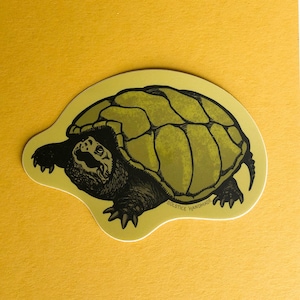 Schnappschildkröte Sticker