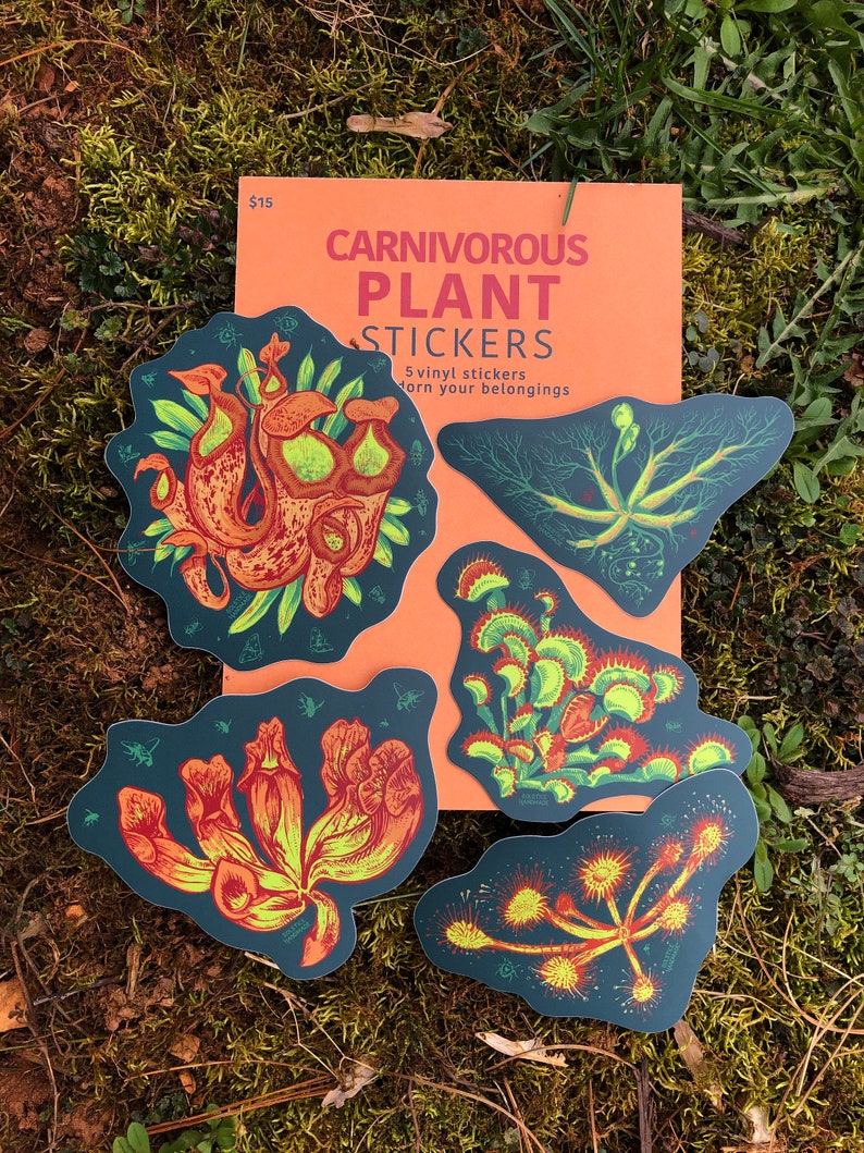 May include: Five colorful vinyl stickers featuring illustrations of carnivorous plants. The stickers are on a peach-colored background with the text "Carnivorous Plant Stickers" and "5 vinyl stickers adorn your belongings".