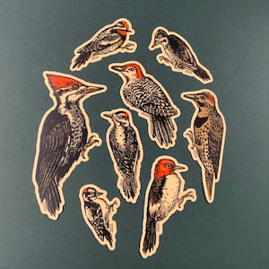 Woodpecker Sticker Set