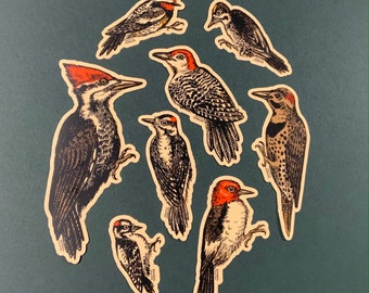 Woodpecker Sticker Set