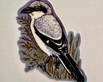 Loggerhead Shrike Sticker