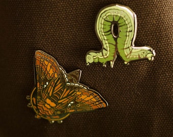 Clover Looper Moth Pin Set (Inchworm)