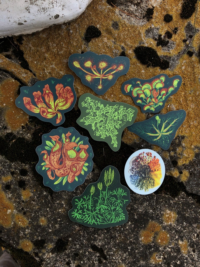 May include: A set of nine stickers featuring illustrations of various carnivorous plants. The stickers are printed on a dark background with green, yellow, and orange colors. The stickers are perfect for adding a touch of nature to your laptop, water bottle, or planner.