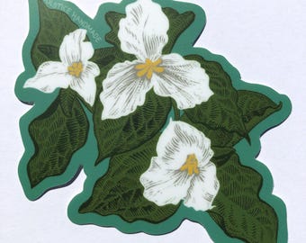 Naklejka Great White Trillium