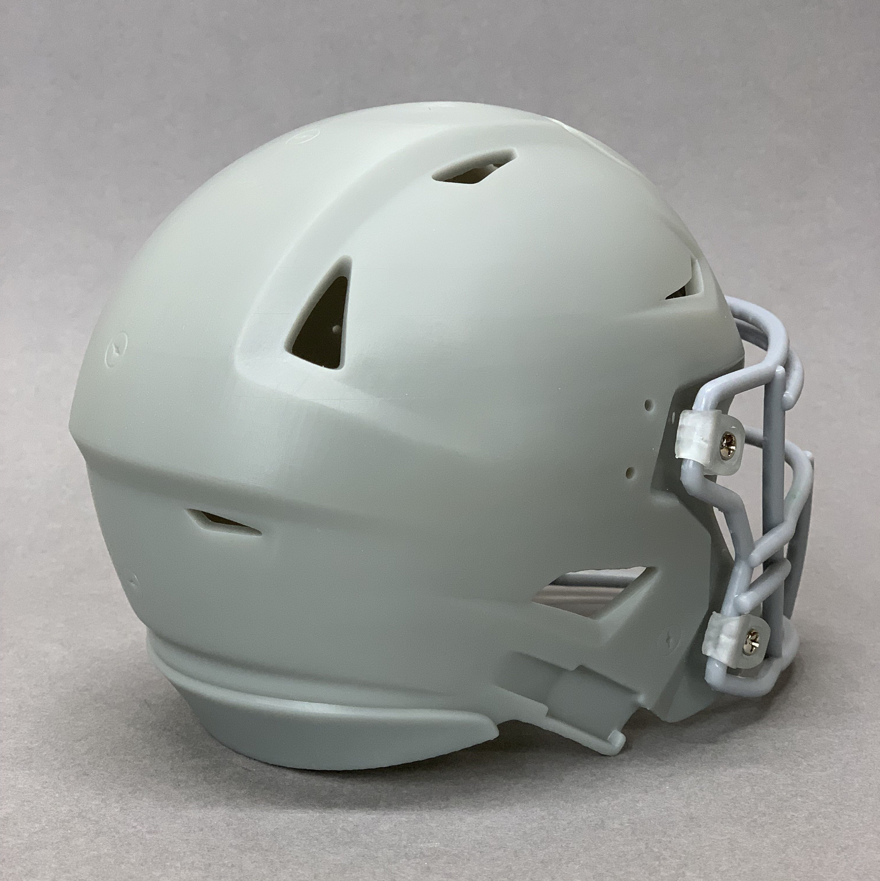 3D Sla/resin Printed Riddell Speedflex Mini Helmet DIY Hobby 