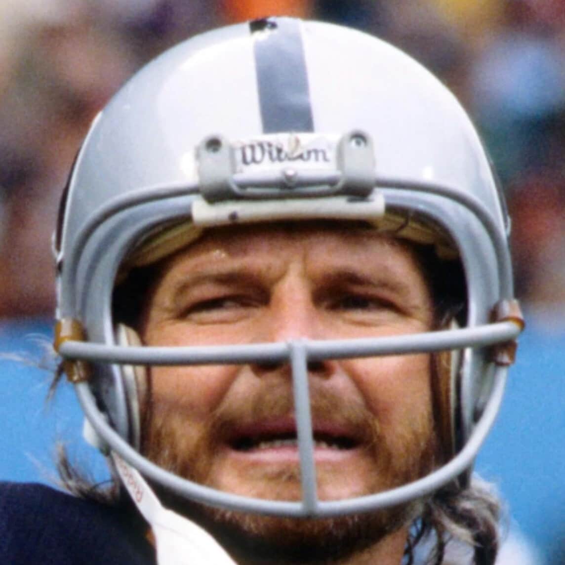 PREORDER - Vintage 3D Printed Riddell VSR4 Mini Helmet Replacement ...