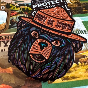 Don&#39;t Be Stupid, Bear Sticker, Fire Safety, Fire Awareness, Bear, Rainbow, Colorful Bear: Pin