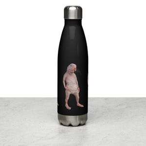 Edelstahl Trinkflasche