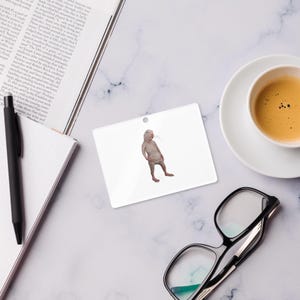 Just Really Like Naked Moles Ok? Funny Naked Mole Rat Acrylic ornament