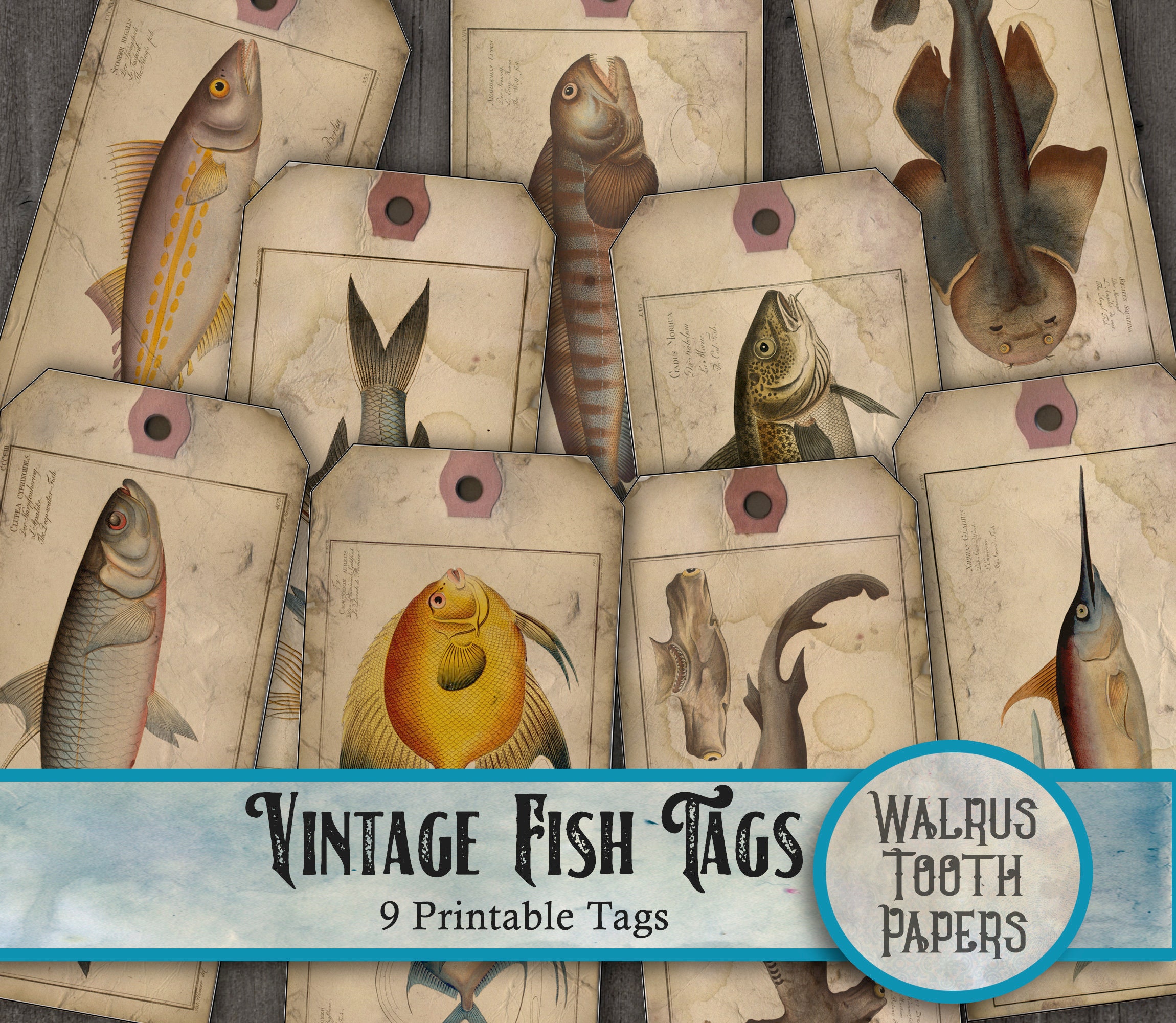 Vintage FISH TAGS Printable Ephemera Instant Download Etsy