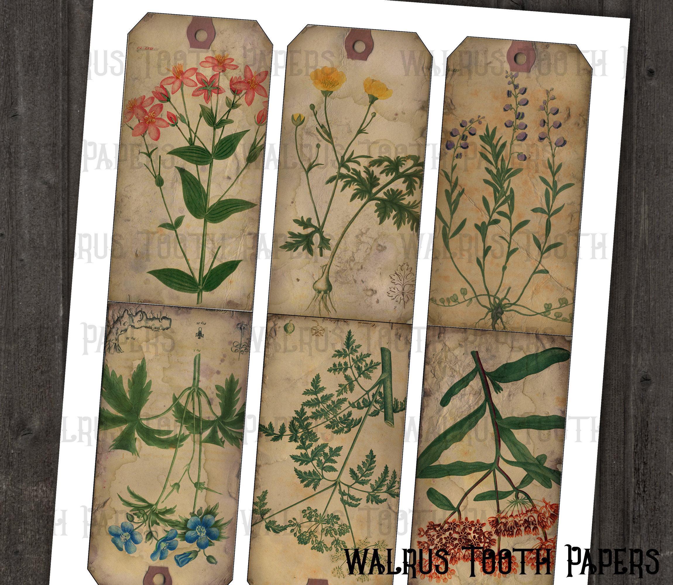BOTANICAL TAGS Printable Ephemera, Instant Download, Digital Collage ...