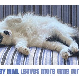Postcards to Voters - Vote by Mail leaves more time for naps postcard