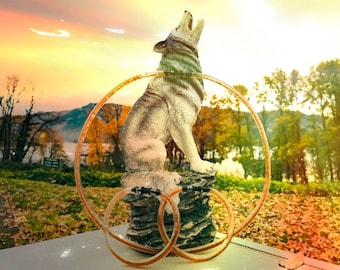 Set Trinity de plasma de GaNs con cúrcuma plateada - Accesorios de GaNS de Forever Plasma