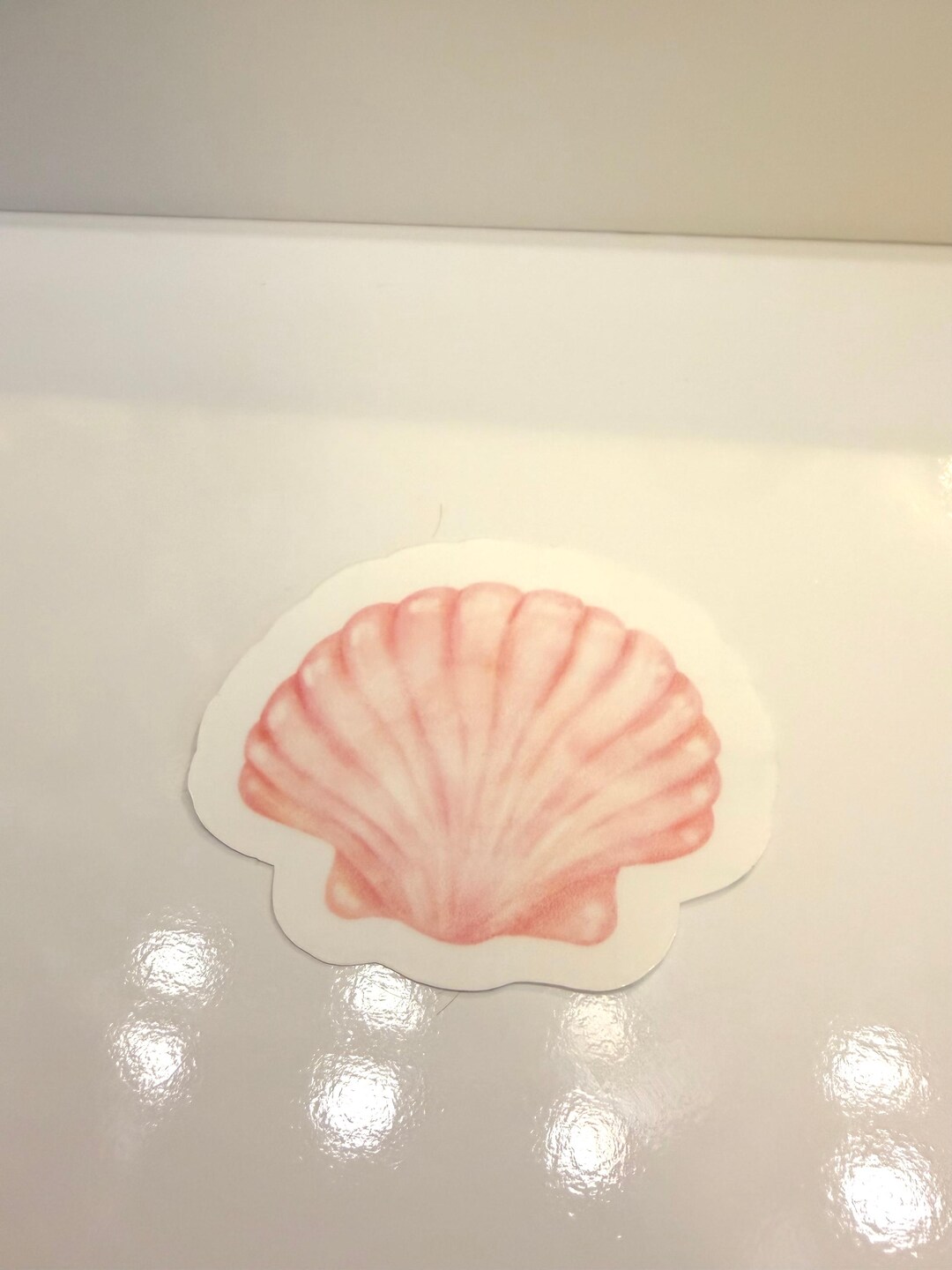 Sticker Shell Pink Shell Sticker - Waterproof - Etsy