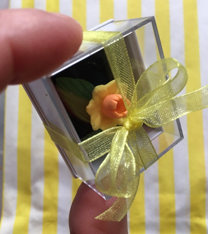 Feelgood Gift Kawaii Keepsake Pocket hug Quirky Gift Unique Gift Missing You Gift Shelf Ornament The wee daffodil in a box
