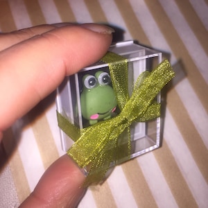 May include: A small green frog figurine with large eyes is inside a clear plastic box tied with a green ribbon.