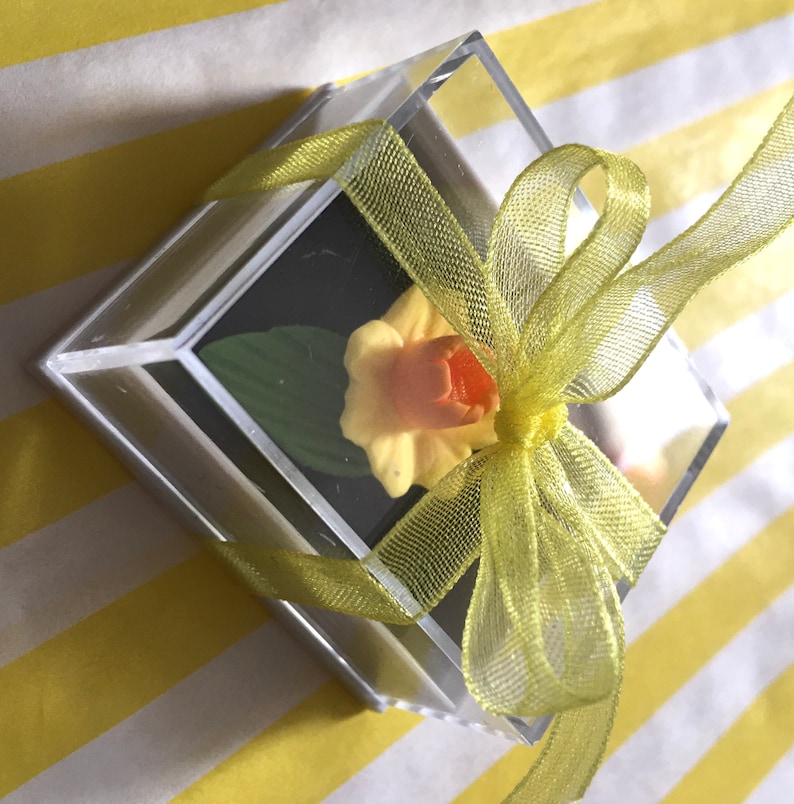Feelgood Gift Kawaii Keepsake Pocket hug Quirky Gift Unique Gift Missing You Gift Shelf Ornament The wee daffodil in a box