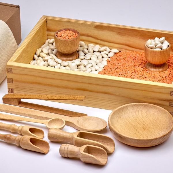 Outils sensoriels pour petites mains, Plateau en bois, Jouets Montessori, Kit sensoriel pour tout-petits, Travail de transfert, Cuillères en bois, Jeu sensoriel, Pièces détachées