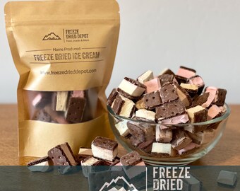 Freeze Dried Ice Cream Sandwich Bites - Etsy
