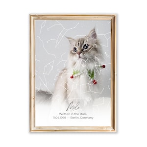 Carte commémorative des chats avec photo - Cadeau personnalisé pour la perte d'un chat - Souvenir d'animal de compagnie Rainbow Bridge - Art personnalisé commémoratif du ciel nocturne pour les amoureux des chats
