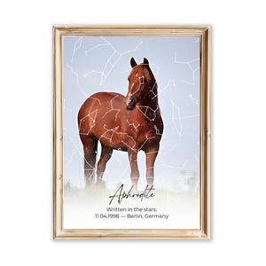 Carte des étoiles commémorative des chevaux avec photo - Cadeau personnalisé pour la perte d'un cheval - Souvenir du pont arc-en-ciel pour les amateurs de chevaux - Art du ciel nocturne personnalisé