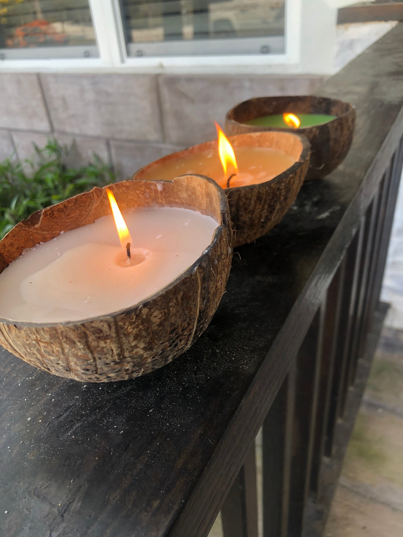 Coconut Shell Candle Various Sizes and Scents Handmade Etsy