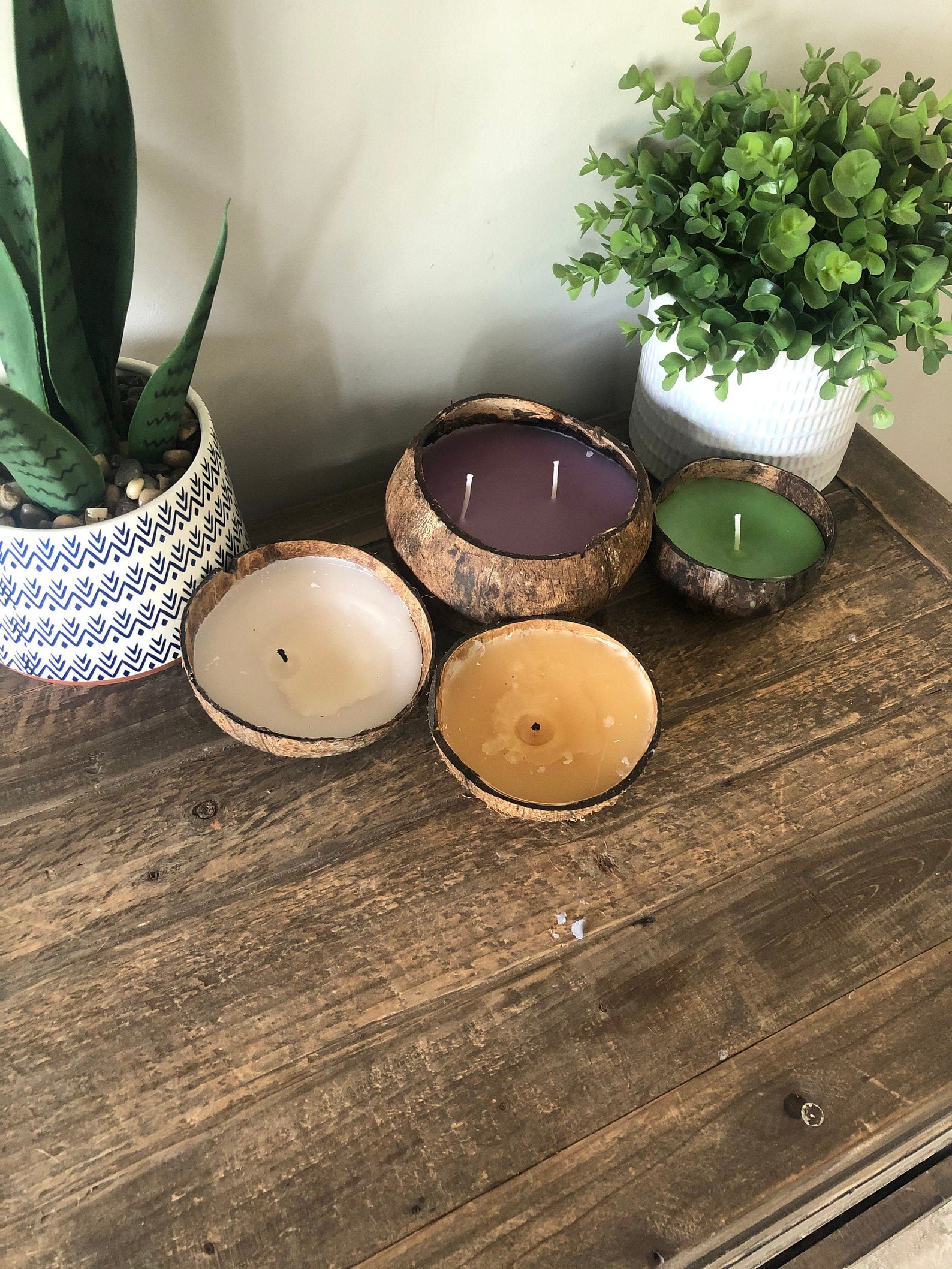 Coconut Shell Candle Various Sizes and Scents Handmade Etsy