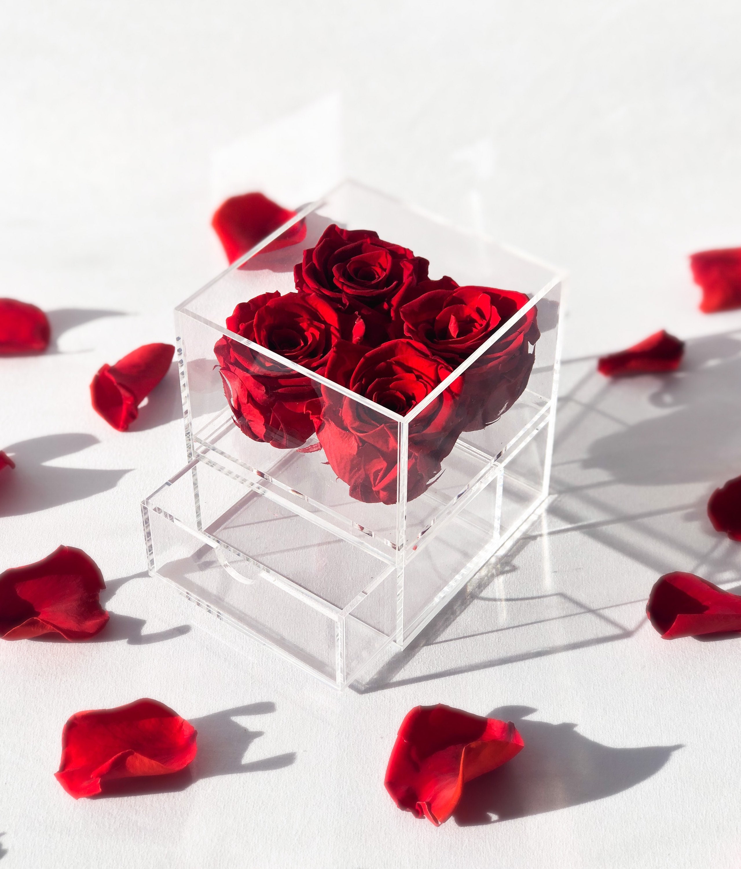 Acrylic Rose Box. 4 Real Roses that last a year or more Known Etsy