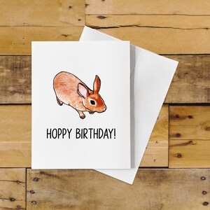 Hand Drawn Pun Funny Happy Birthday Cards 10 Pack of Cards - Etsy