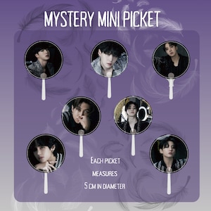 BTS Mystery Mini Picket