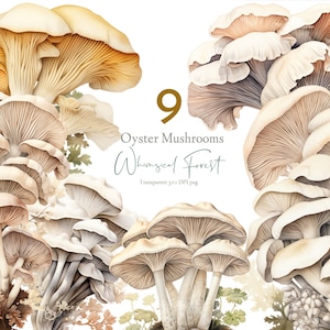 Clipart aquarelle pleurotes png champignon rose clipart, illustration botanique de forêt champignon champignon vénéneux