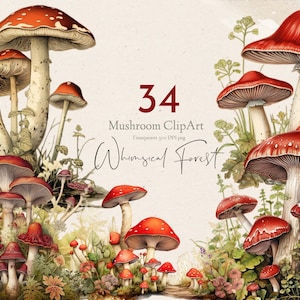 Bundle de cliparts aquarelle champignon rouge png champignon clipart, illustration botanique de forêt champignon champignon vénéneux amanita muscaria