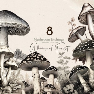 Bundle de clipart aquarelle champignon gravé png clipart champignon, illustration botanique de forêt champignon champignon vénéneux