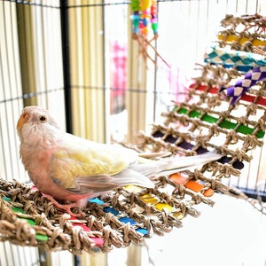 Rainbow Bridge | Bird Ladder, Hammock or Perch for Small Birds, Rats & Mice