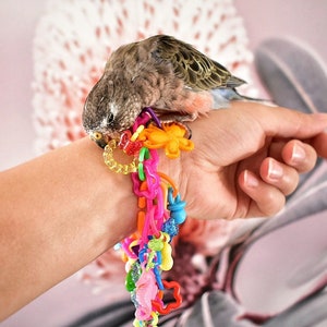 Birdie Bling | Bracelet Chew Toy for Small Birds