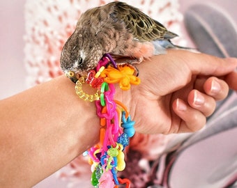 Birdie Bling | Bracelet Chew Toy for Small Birds