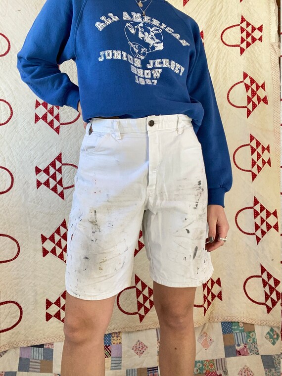 Vintage 1990's Sherwin Williams/dickies 