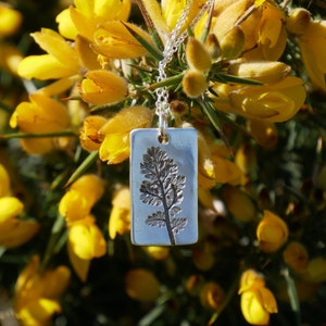 Common storks-bill leaf hand-made botanical nature wildflower pendant, rectangular, recycled silver on sterling silver trace necklace