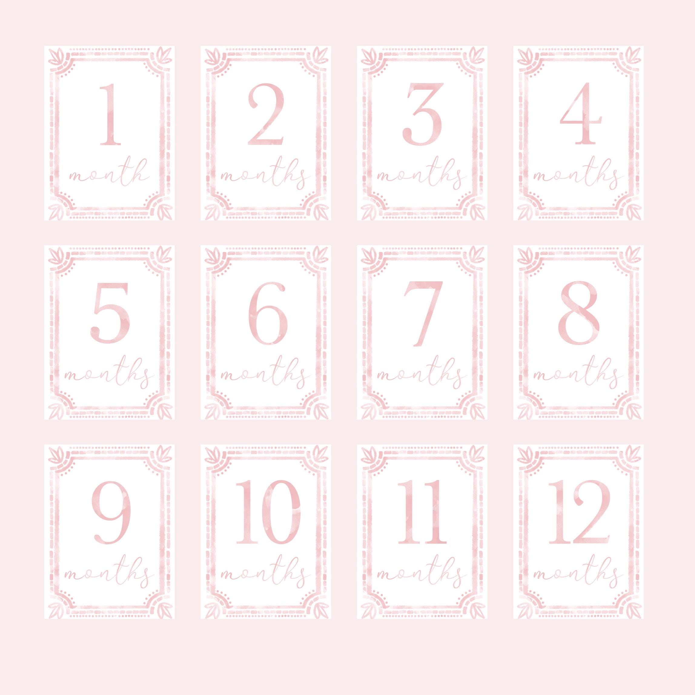 Watercolor Pink Baby Milestone Cards | First Year Milestone Cards ...