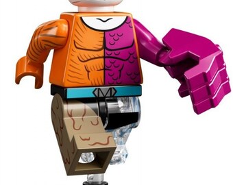 Lego Metamorpho 71026 DC Super Heroes Series Minifigures Etsy