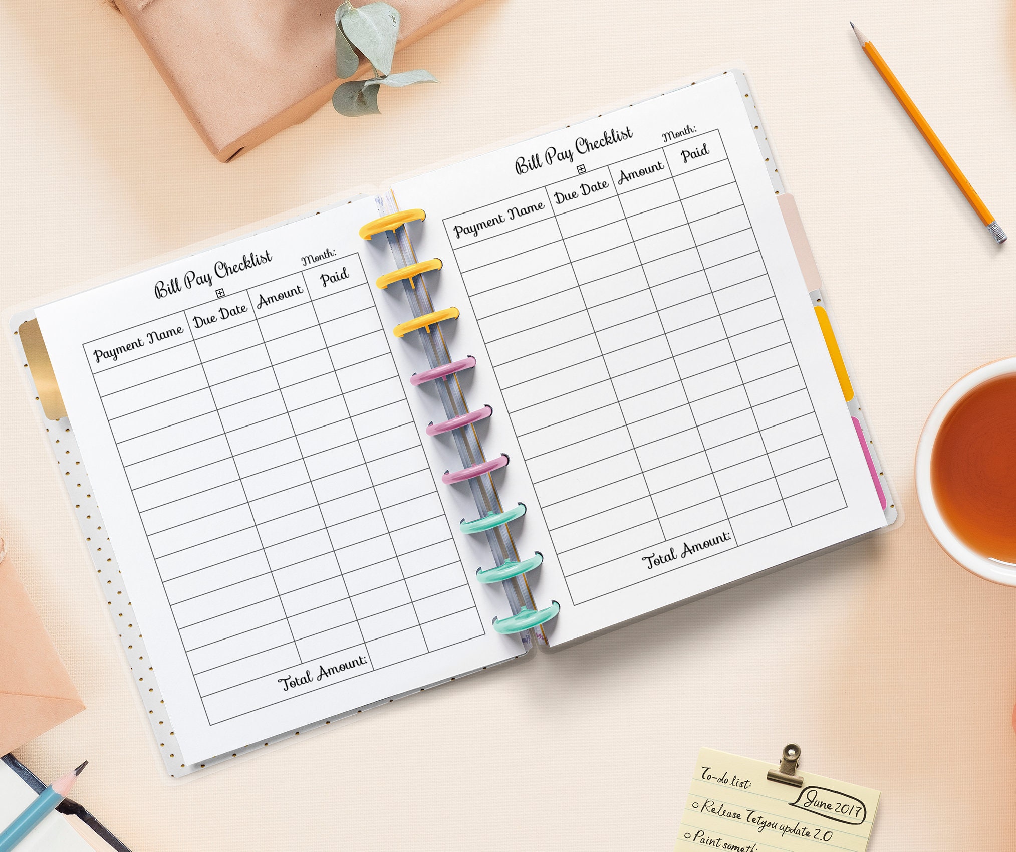 Monthly Bill Pay Checklist Inserts Budget Planner for 7 Disc Planners